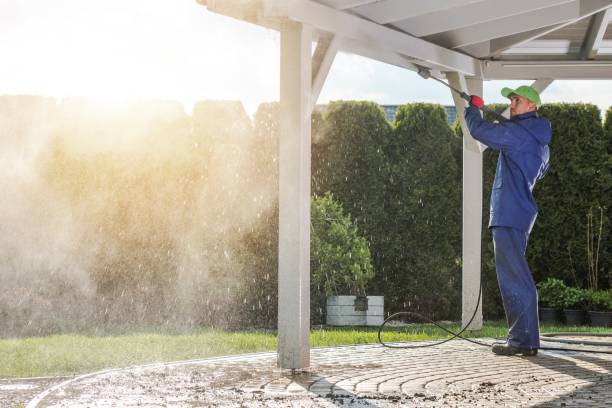 Best Building Exterior Washing  in St Charles, MI